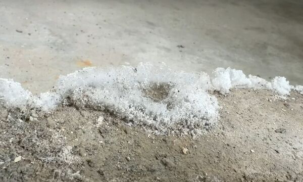 ▲鹿港一棟百年古厝出現結霜奇景。（圖／民眾提供）