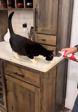 ▲。（圖／翻攝自TikTok／@mommamandasmith）