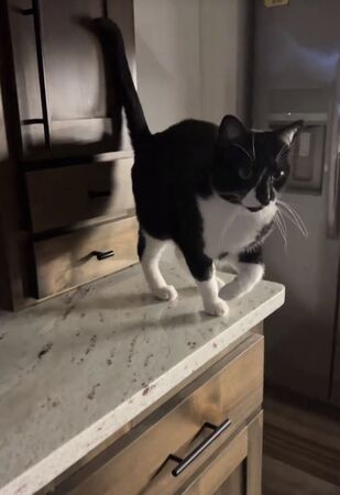 ▲。（圖／翻攝自TikTok／@mommamandasmith）