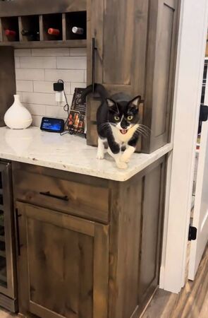 ▲。（圖／翻攝自TikTok／@mommamandasmith）