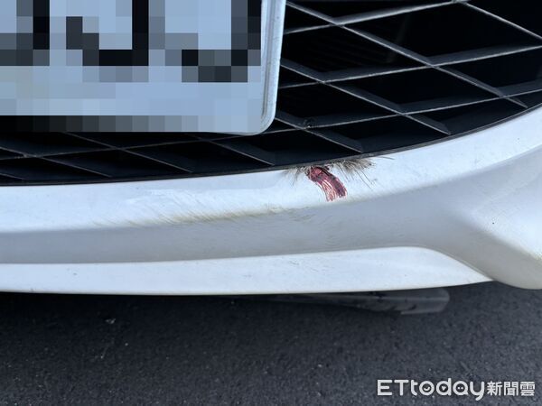 ▲▼彰化連兩日發生汽車撞水鹿車禍。（圖／記者唐詠絮翻攝)