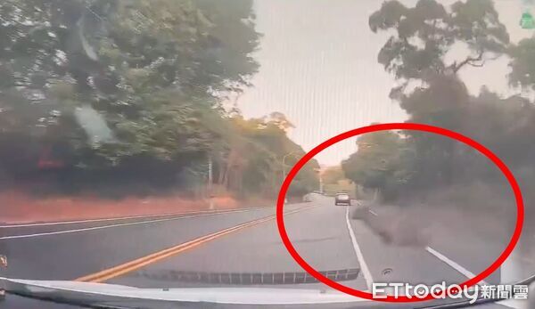 ▲▼彰化連兩日發生汽車撞水鹿車禍。（圖／記者唐詠絮翻攝)