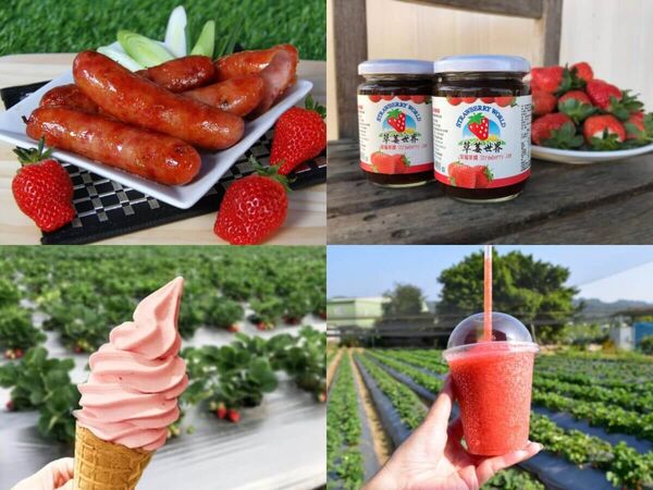 ▲▼全台7大夢幻採草莓園懶人包。（圖／ReadyGo提供）