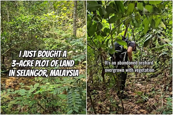 ▲▼             。（圖／翻攝自IG）