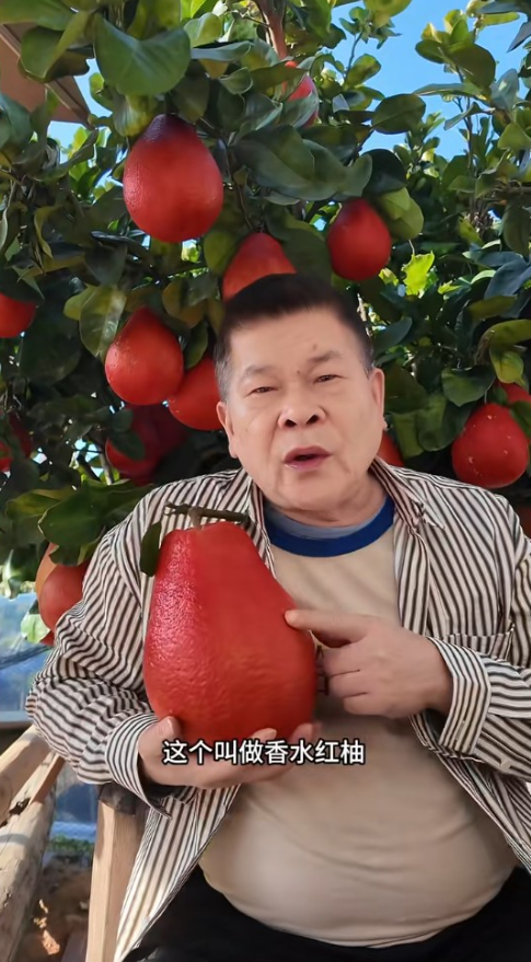 ▲▼澎恰恰近期直播以賣農產品為主。（圖／翻攝自抖音）