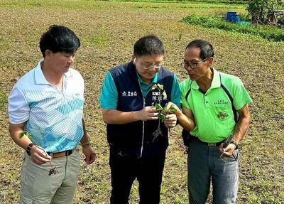 綠色環境獎勵補貼開放申報　桃園加碼補助最高4.5萬獎勵金