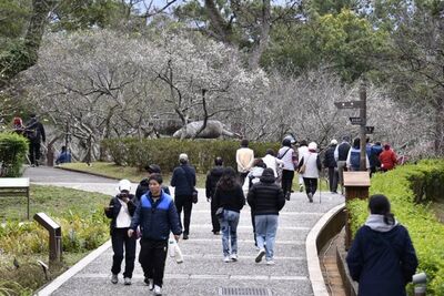 2026角板山行館梅花季　互動好康活動報您知