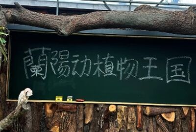 蘭陽動植物王國一堆簡體字！ 網批「以為中國景點」　園方：我們改