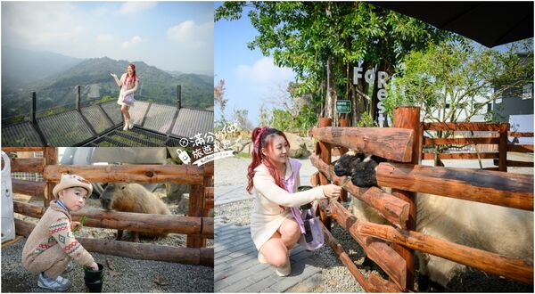 ▲▼南投最新親子農場「鹿芝谷生態景觀園區」，山谷裡與萌寵玩樂。（圖／部落客滿分提供）