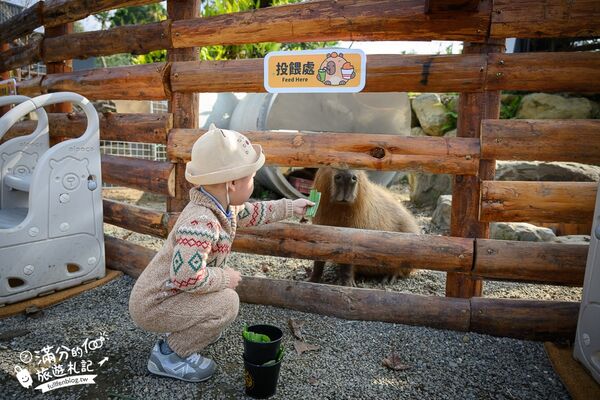▲▼南投最新親子農場「鹿芝谷生態景觀園區」，山谷裡與萌寵玩樂。（圖／部落客滿分提供）