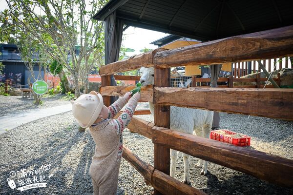 ▲▼南投最新親子農場「鹿芝谷生態景觀園區」，山谷裡與萌寵玩樂。（圖／部落客滿分提供）