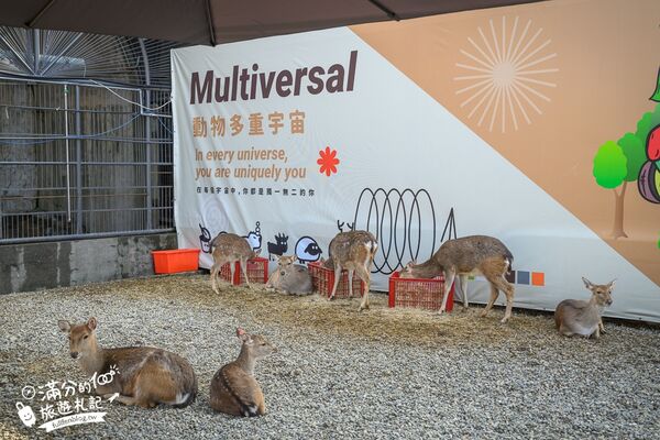 ▲▼南投最新親子農場「鹿芝谷生態景觀園區」，山谷裡與萌寵玩樂。（圖／部落客滿分提供）