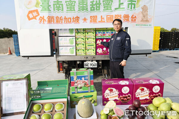 ▲台南蜜棗首度外銷新加坡，首批鮮果12日正式出貨，為台南冬季水果拓展國際市場再下一城。（記者林東良翻攝，下同）