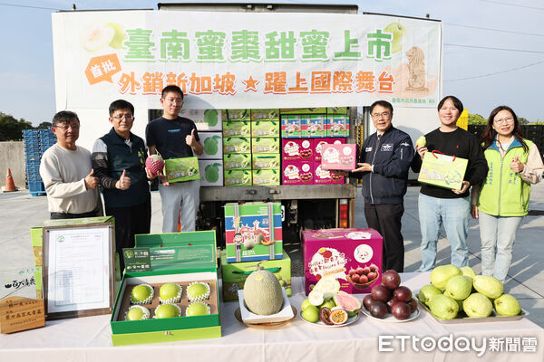 ▲台南蜜棗首度外銷新加坡，首批鮮果12日正式出貨，為台南冬季水果拓展國際市場再下一城。（記者林東良翻攝，下同）