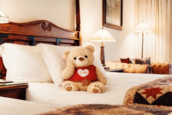 ▲▼理想大地百隻熊熊進駐。（圖／業者提供）