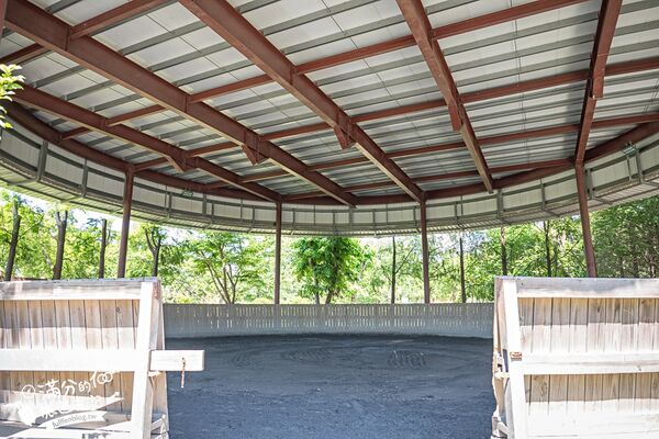 ▲▼台中騎馬體驗「先騰馬業神岡分部」，綠林包圍療癒的馬場基地。（圖／部落客滿分提供）