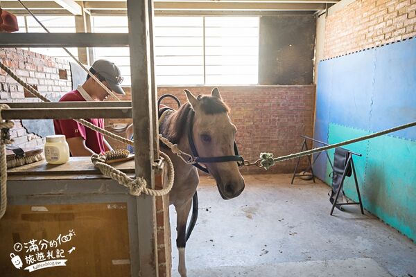 ▲▼台中騎馬體驗「先騰馬業神岡分部」，綠林包圍療癒的馬場基地。（圖／部落客滿分提供）