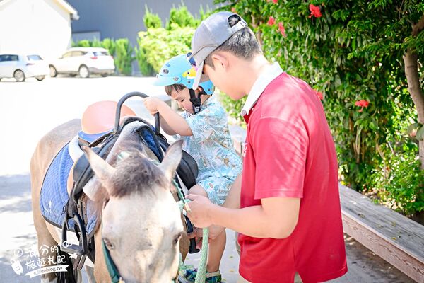 ▲▼台中騎馬體驗「先騰馬業神岡分部」，綠林包圍療癒的馬場基地。（圖／部落客滿分提供）