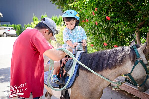 ▲▼台中騎馬體驗「先騰馬業神岡分部」，綠林包圍療癒的馬場基地。（圖／部落客滿分提供）