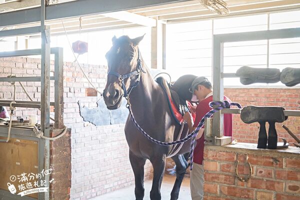 ▲▼台中騎馬體驗「先騰馬業神岡分部」，綠林包圍療癒的馬場基地。（圖／部落客滿分提供）