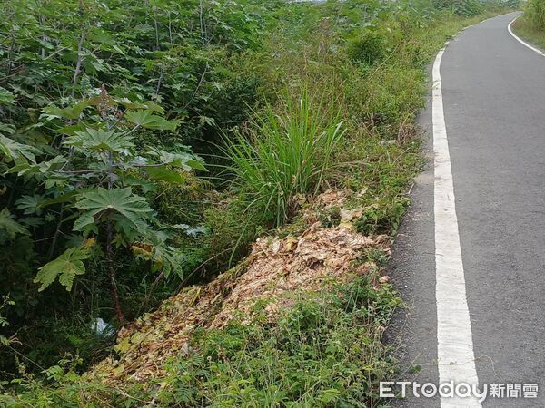 ▲小貨車偷倒菜渣和垃圾。（圖／環保局提供）
