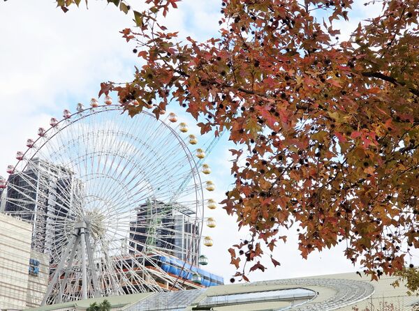 ▲北市街頭楓香轉紅。（圖／公園處提供）