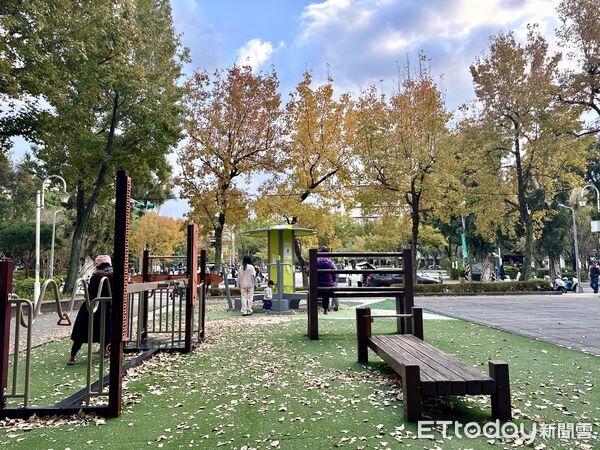 ▲民生公園楓香,梅花1/11花況。（圖／記者彭懷玉攝）