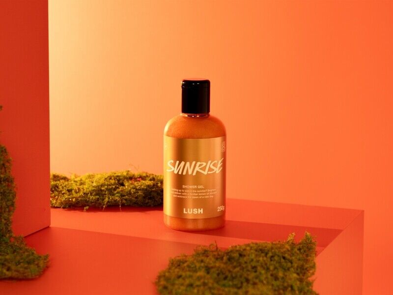 馬上有好運！2026「馬年限定」美妝盤點：克蘭詩、嬌蘭、LUSH&hellip;從頭到腳開運發光