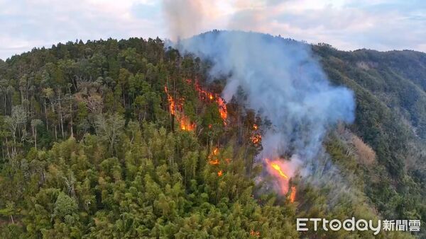 ▲▼ 古坑鄉草嶺村石壁飯店後方山林 。（圖／記者游瓊華翻攝）