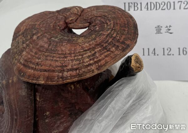 1/13邊境查驗中國靈芝、印尼木薯餅違規。（圖／食藥署提供）