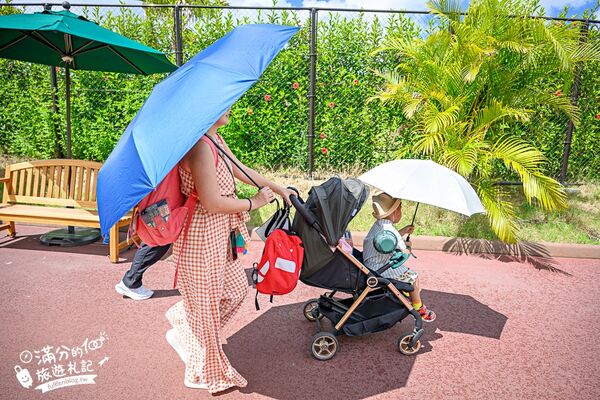 ▲▼沖繩叢林王國最詳細體驗攻略！（圖／部落客滿分提供）