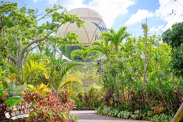 ▲▼沖繩叢林王國最詳細體驗攻略！（圖／部落客滿分提供）
