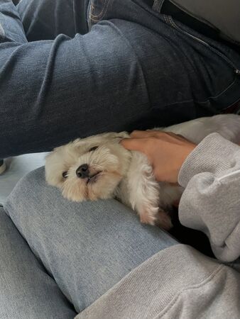 ▲▼Junior,韓宜邦,林萱瑜。（圖／翻攝自FACEBOOK／Kiki-林萱瑜）