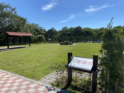 桃市中低收入戶火化+納骨免費　樹葬全免、遷出納骨塔最高補助2萬