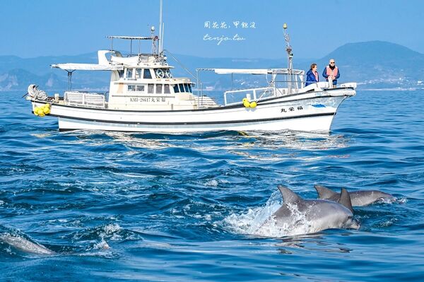 ▲▼天草賞海豚交通船票費用預約一日遊攻略。（圖／部落客周花花提供）