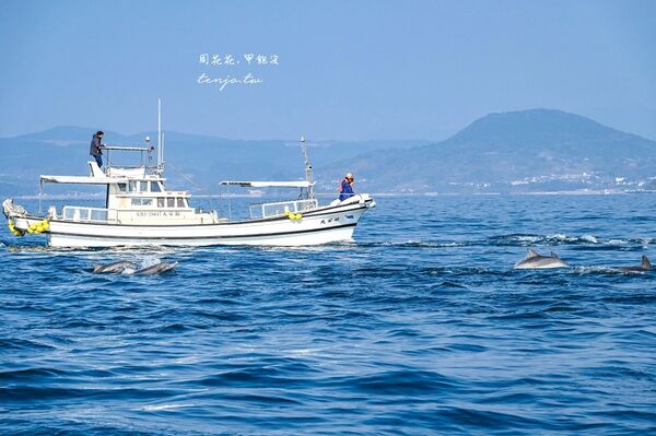 ▲▼天草賞海豚交通船票費用預約一日遊攻略。（圖／部落客周花花提供）