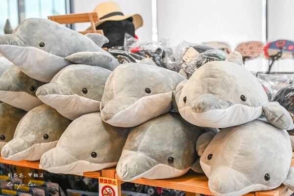 ▲▼天草賞海豚交通船票費用預約一日遊攻略。（圖／部落客周花花提供）