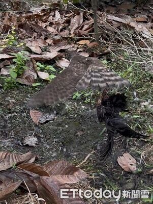 ▲。（圖／Threads@impossible_8888提供，請勿隨意翻拍，以免侵權。）