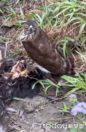 ▲。（圖／Threads@impossible_8888提供，請勿隨意翻拍，以免侵權。）