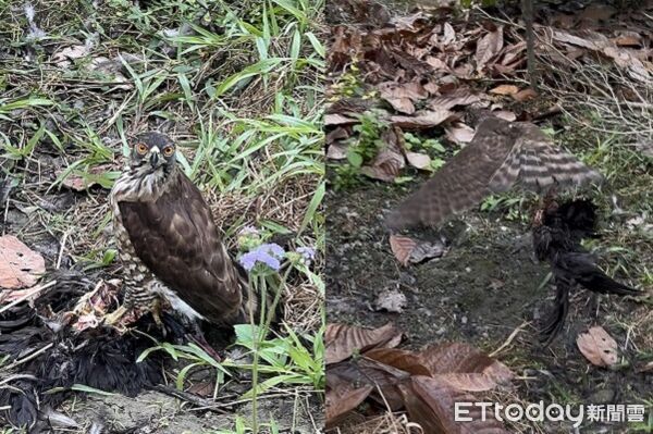 ▲。（圖／Threads@impossible_8888提供，請勿隨意翻拍，以免侵權。）