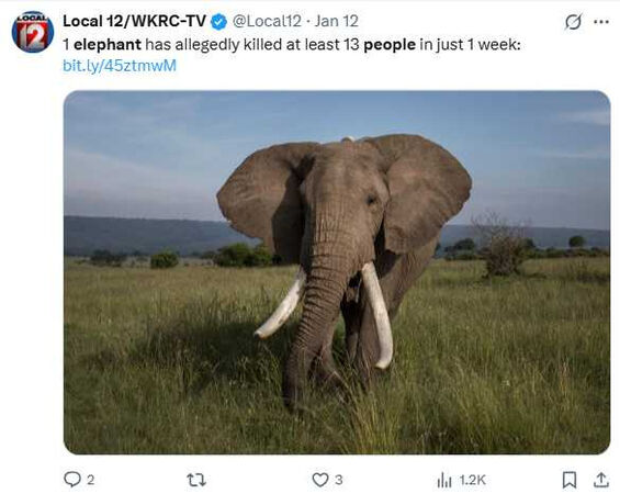 印度傳出野象攻擊事件，目前尚未制伏的雄性野象持續在多個村落徘徊，地方政府已發布警戒令。（示意圖／翻攝自X，@Local12）