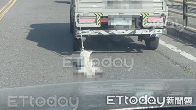 快訊／嘉義小貨車牽繩掛車後「拖行小狗」！　血跡、糞便流一地