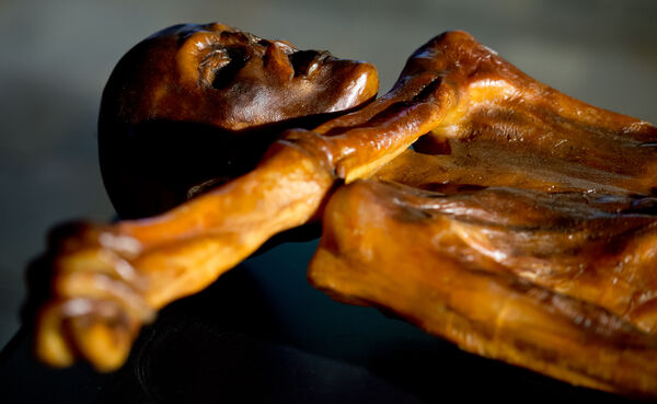 ▲▼  木乃伊「冰人奧茨」（&Ouml;tzi）。（圖／達志影像／美聯社）