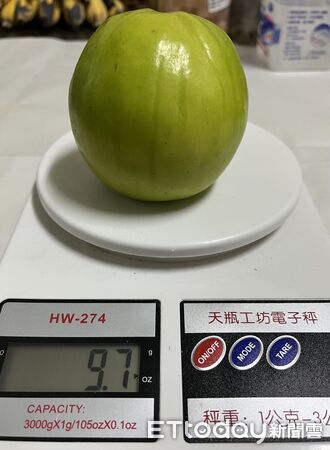 ▲雪16蜜棗。（圖／屏東縣好菓子合作社社員提供）