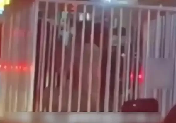 ▲▼  柬埔寨活人被裝狗籠在大街上運輸         。（圖／翻攝 百度）