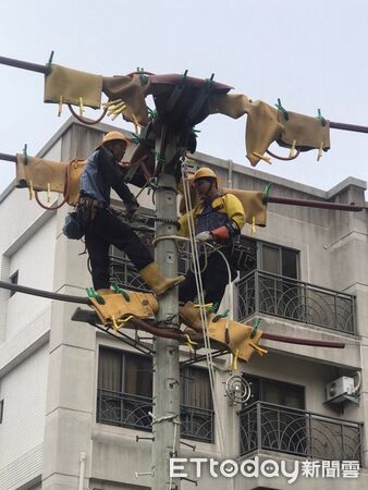 ▲▼ 台電版奧運登場！千名員工大比拚　首辦「冠中之冠」示範賽。（圖／記者賴文萱翻攝）