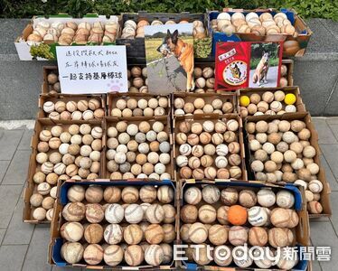退役搜救犬Beta撿了700顆棒壘球　飼主將「遺愛」捐贈基層棒球隊