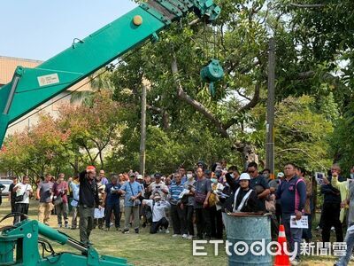 打造最美綠帶！高雄培育「修樹職人」　把關城市美感