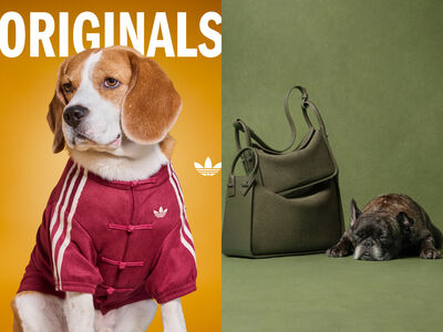 adidas萌寵「三葉草新年套裝」必收！PEDRO請浪浪示範百搭通勤包