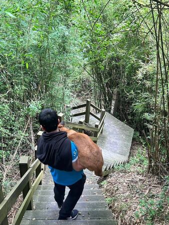 搜救犬Beta退役找到700顆棒壘球，捐給基層棒球隊。（圖／翻攝自Ntfd-K9 大埔分隊）